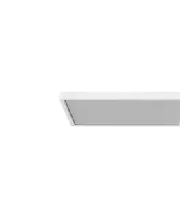 Svietidlá Azzardo Azzardo  -LED Stropné svietidlo so senzorom PANKA LED/24W/230V IP40 biela 