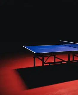 stolný tenis Klubový stolnotenisový stôl TTT 500 schválený ITTF