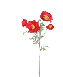 Kvety Vlčí mak 4 kvety, v. 52 cm, červená