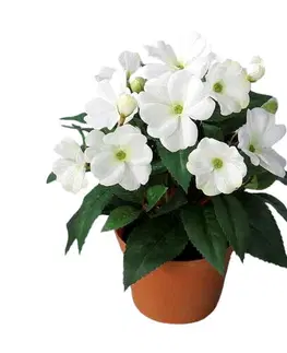 Kvety Umelá Netýkavka v kvetináči biela, 24 cm