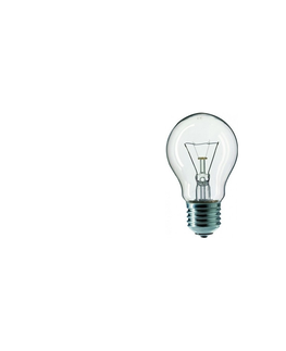 Žiarovky  Priemyselná žiarovka CLEAR A55 E27/25W/230V 