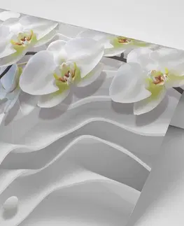 Tapety kvety Tapeta orchidea na abstraktnom pozadí