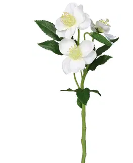 Kvety Umelá Čemerica biela, 37 cm 