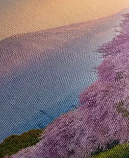 Obrazy prírody a krajiny Obraz japonská sopka Fuji