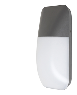 Záhradné lampy Rabalux Rabalux 7996 - LED Vonkajšie nástenné svietidlo ECUADOR LED/10W/230V IP65 800lm 4000K 