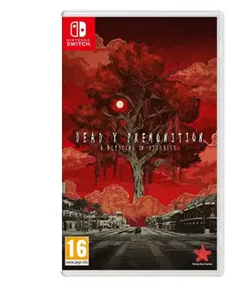 Hry pre Nintendo Switch Deadly Premonition 2: A Blessing in Disguise NSW