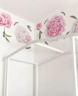 Nálepky na stenu Samolepiace tapety kvetov - Pivonie