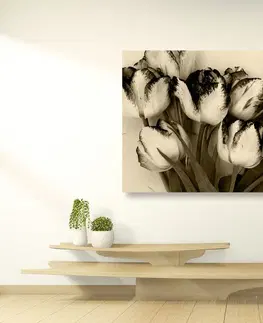 Čiernobiele obrazy Obraz jarné tulipány v sépiovom prevedení
