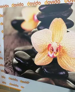Obrazy Feng Shui Obraz žltá orchidea a Zen kamene
