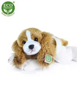 Plyšové hračky RAPPA - Plyšový pes cavalier king charles spaniel ležiaci 30 cm ECO-FRIENDLY