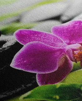 Obrazy Feng Shui Obraz wellness zátišie s fialovou orchideou