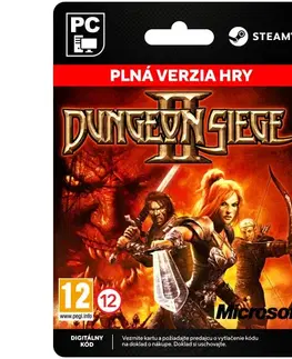 Hry na PC Dungeon Siege 2 [Steam]