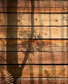 Tapety s imitáciou dreva Tapeta v tieni stromov