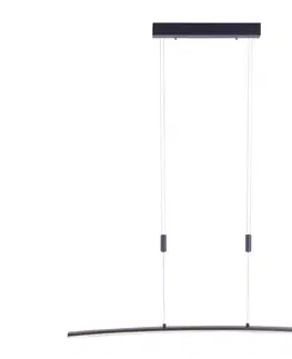Svietidlá Paul Neuhaus Paul Neuhaus 2530-13 - LED Stmievateľný luster na lanku JANINA LED/27W/230V 