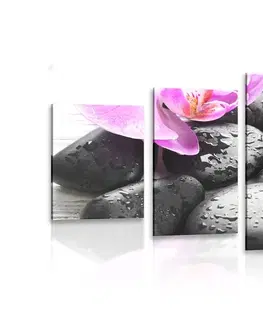 Obrazy Feng Shui 5-dielny obraz krásna súhra kameňov a orchidey