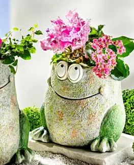 Kvetináče, hrantíky a dekorácie Dekoratívny kvetináč Žabiak Herbert