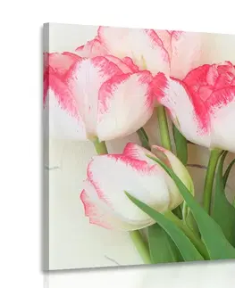 Obrazy kvetov Obraz jarné tulipány