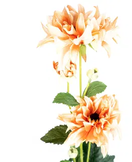 Kvety Umelá georgína, v. 75 cm, oranžová