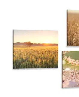 Zostavy obrazov Set obrazov pole pri západe slnka
