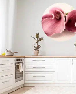 Nálepky na stenu Nálepky na stenu do kuchyne - Kvet v ružovej farbe