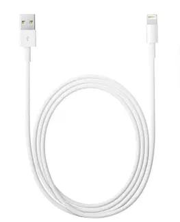 Dáta príslušenstvo Apple nabíjací kábel USB-A na Lighthning (oem) 2500008324363