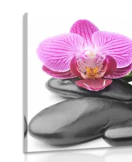 Obrazy Feng Shui Obraz masážne wellness kamene