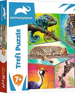 Hračky puzzle TREFL - Puzzle 200 - V exotickom svete