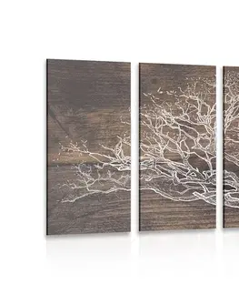 Obrazy stromy a listy 5-dielny obraz koruna stromu na drevenom podklade