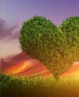 Tapety príroda Tapeta strom v tvare srdca