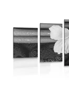Čiernobiele obrazy 5-dielny obraz wellness zátišie v čiernobielom prevedení