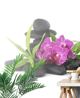 Tapety Feng Shui Tapeta fialová orchidea v Zen zátiší