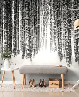 Samolepiace tapety Samolepiaca fototapeta čiernobiely les zahalený snehom