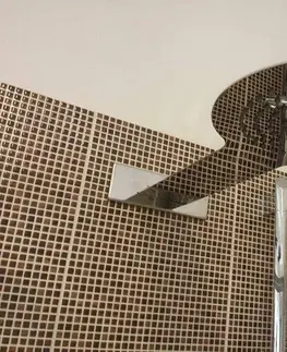 Sprchy a sprchové panely SLEZAK-RAV - Hlavová sprcha kovová, Farba: nerez KS0006