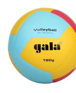 Volejbalové lopty Gala BV 5541 S