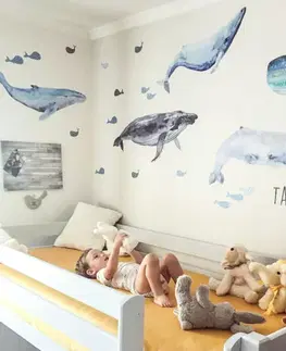 Nálepky na stenu Samolepiace tapety na stenu - Veľryby