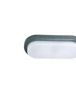 Svietidlá  LED Vonkajšie nástenné svietidlo OVAL LED/12W/230V IP54 