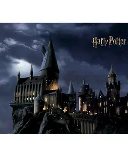 Tapety Detská fototapeta Harry Potter 252 x 182 cm, 4 diely
