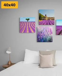 Zostavy obrazov Set obrazov levanduľové pole