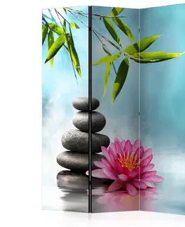 Paravány Paraván Water Lily and Zen Stones Dekorhome 135x172 cm (3-dielny)