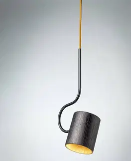 Závesné svietidlá Domus Závesná lampa Bocal s dreveným tienidlom