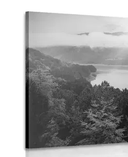 Čiernobiele obrazy Obraz rieka uprostred lesa v čiernobielom prevedení