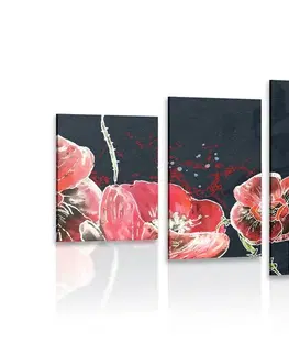 Obrazy kvetov 5-dielny obraz červené maky na čiernom pozadí