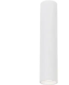 Svietidlá  Bodové svietidlo GENESIS 1xGU10/8W/230V 30 cm biela 