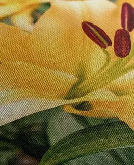Obrazy kvetov Obraz žltá ľalia