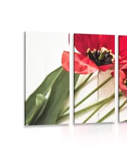 Obrazy kvetov 5-dielny obraz rozkvitnuté červené tulipány