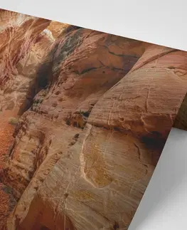 Samolepiace tapety Samolepiaca fototapeta cestička Grand Canyonom