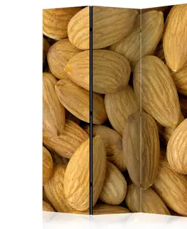 Paravány Paraván Tasty almonds Dekorhome 135x172 cm (3-dielny)