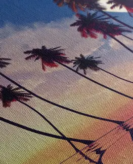 Obrazy prírody a krajiny Obraz západ slnka nad tropickými palmami