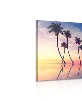 Obrazy prírody a krajiny Obraz západ slnka nad tropickými palmami