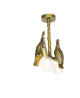 Stropne svietidla Vintage mosadzné stropné svietidlo 2-svetlo - Papegoje